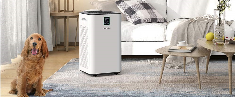 Inofia Air Purifier with True HEPA Air Filter Review